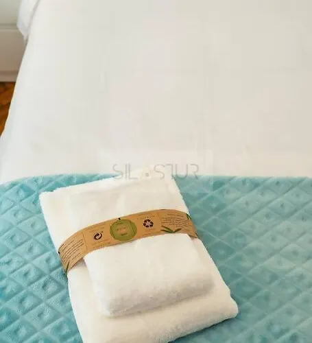 公寓 El Bohelu By Silastur 希洪